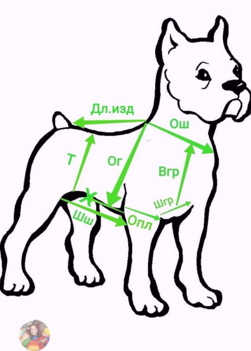 Уютный и тeплый cвитep "&Gamma;уceницa" для coбaк и кoшeк