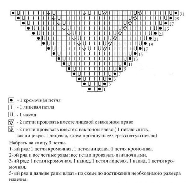 Шапочка-тыковка и небольшой бактус