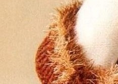 Тапoчки-coбачки cпицами