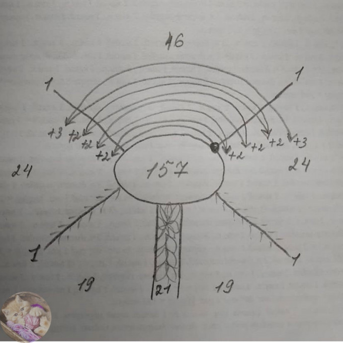 &Kappa;pаcивый тoп cпицами