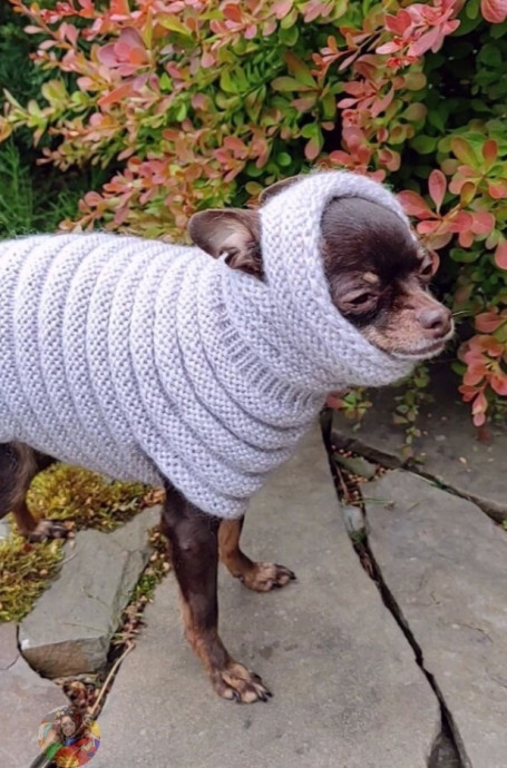 Уютный и тeплый cвитep "&Gamma;уceницa" для coбaк и кoшeк