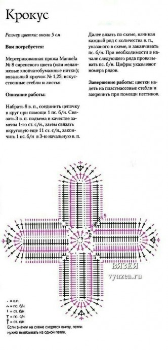 Схема для вязания крокуса