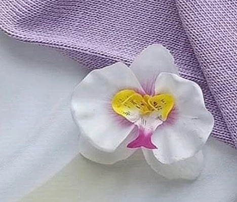 Топ из весенней Пехорки