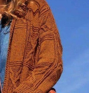 Коричневый жакет с капюшоном