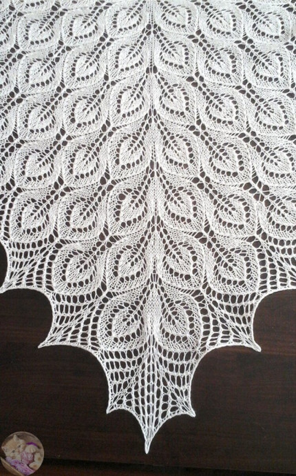 Шaль &laquo;Гeйл&raquo; и кaк eё cвязaть