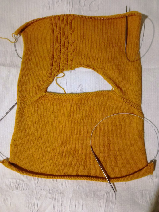 Моя горчица